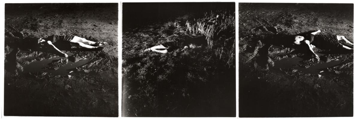 PORFOLIO: Rosanna Simonassi 